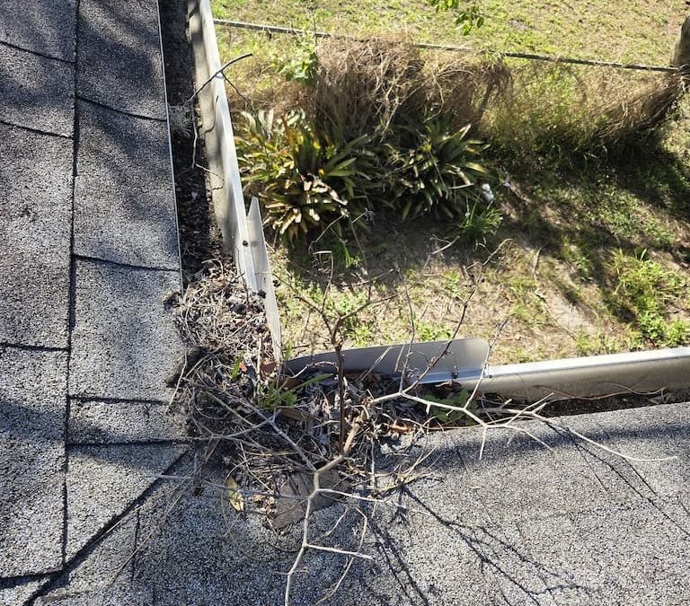 Roofing Contractor Kissimmee Fl 3 23 2025 006