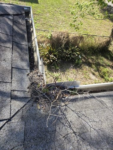 Roofing Contractor Kissimmee Fl 3 23 2025 006