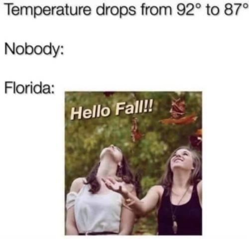 Fall In Florida 1