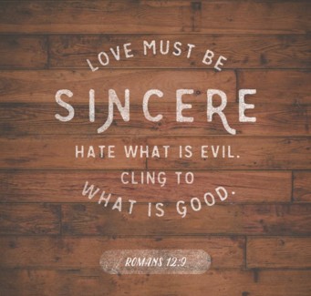 Roofing-contractor-kissimmee-fl-2-9-2025-1